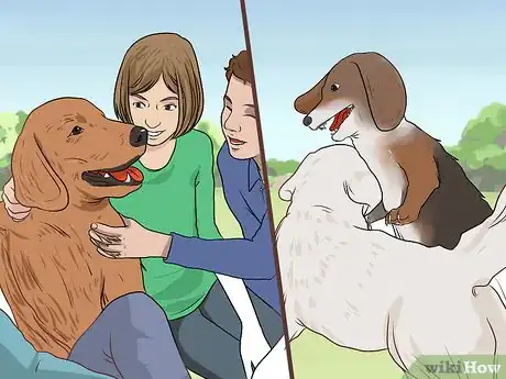 Image titled Support a Dog with Dementia Step 10