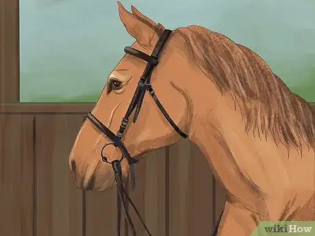 Image titled Brush a Horse Step 1