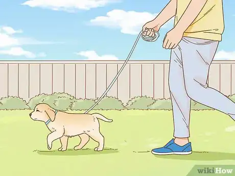 Image titled Boycott Puppy Mills Step 9