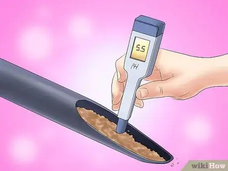 Image titled Plant Evergreen Shrubs Step 2