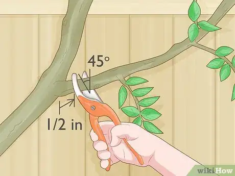 Image titled Prune Gate Vines Step 3