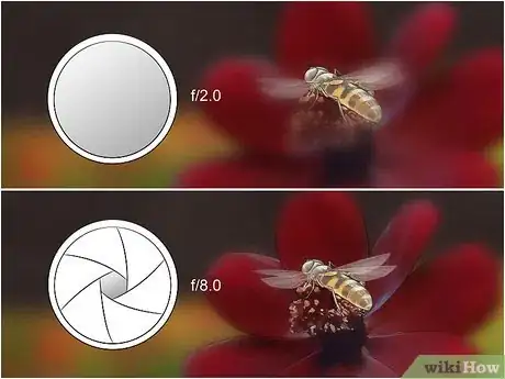 Image titled Photograph Insects Step 11