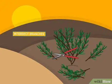 Image titled Prune Organic Plants Step 13