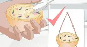 Make Bird Suet Balls