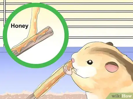 Image titled Train Your Hamster Step 16