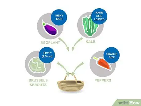 Image titled Grow Vegetables in the West Step 12