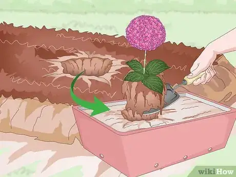 Image titled Prepare Your Garden for the Fall Step 13