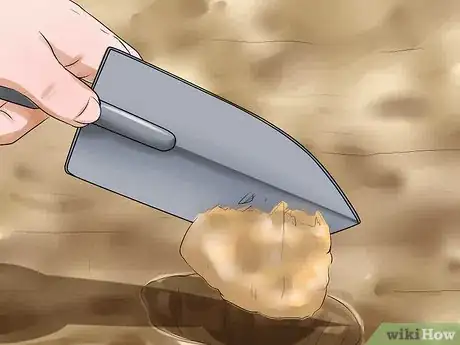 Image titled Remove Health Hazards from Your Backyard Step 3