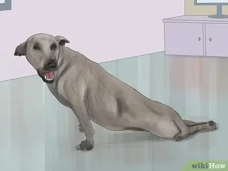 Image titled Treat a Dog for Rabies Step 14