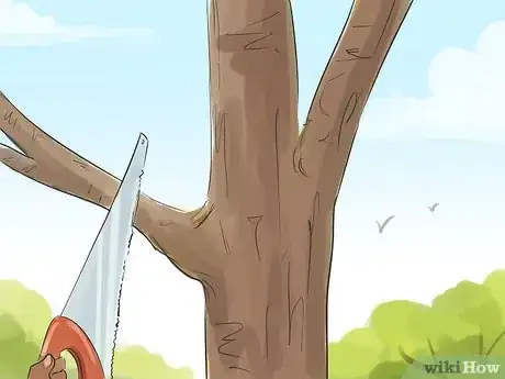 Image titled Prune a Quince Tree Step 7