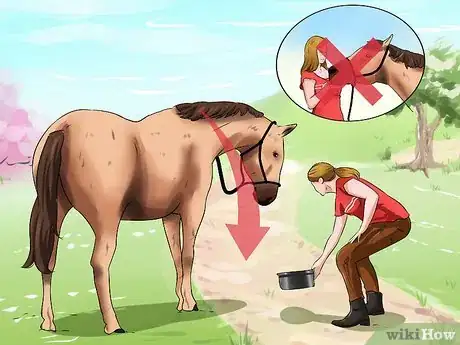 Image titled Get a Head Shy Horse To Trust You Step 13