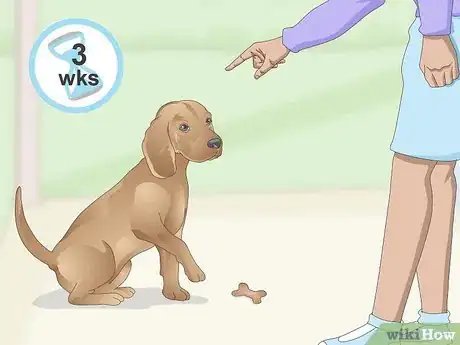 Image titled Teach a Dog to Leave It Step 5