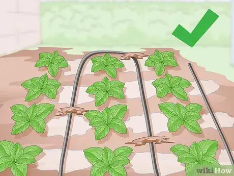 Image titled Keep Soil Moist Step 12