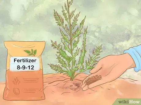 Image titled Plant Leyland Cypress Step 17