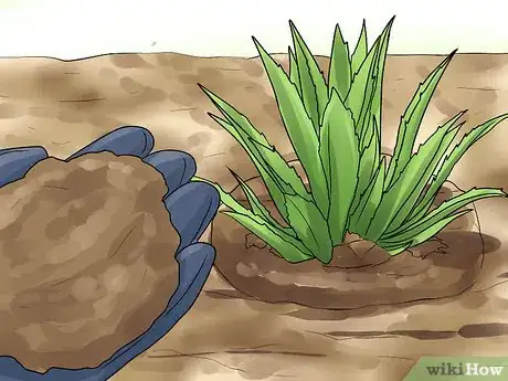 Image titled Grow Great Herbs Step 21