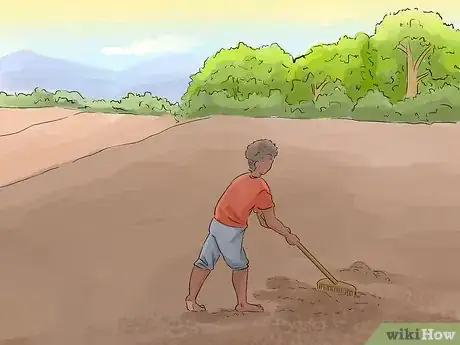 Image titled Grow Carrots in Nigeria Step 2