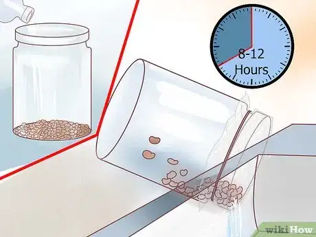 Image titled Grow Alfalfa Sprouts Step 11