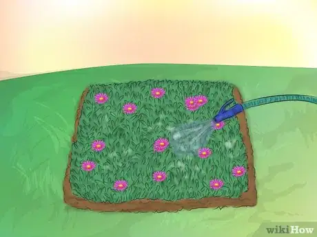 Image titled Grow Ice Plants Step 17