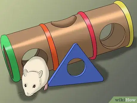 Image titled Have a Good Time With Your Hamster Step 4