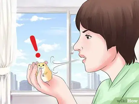 Image titled Train Your Hamster Step 15