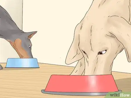 Image titled Stop a Dog from Eating Too Fast Step 7