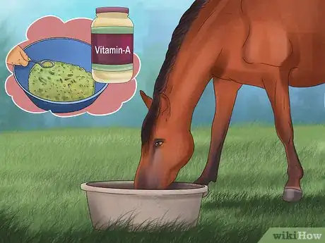 Image titled Give Your Horse the Right Supplements Step 11