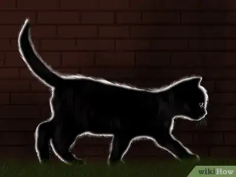 Image titled Take Pictures of Your Black Pet Step 9