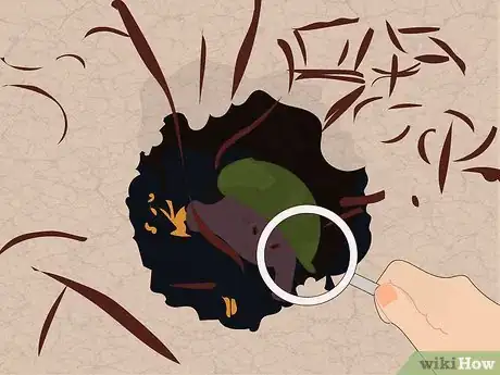 Image titled Wake a Tortoise from Hibernation Step 14