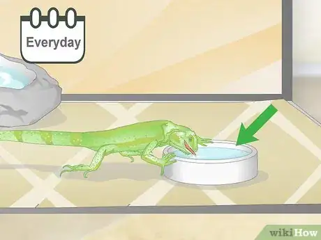Image titled Care for a Green Iguana Hatchling Step 12