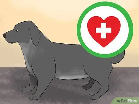 Image titled Create a Sound Reputation As a Dog Breeder Step 2