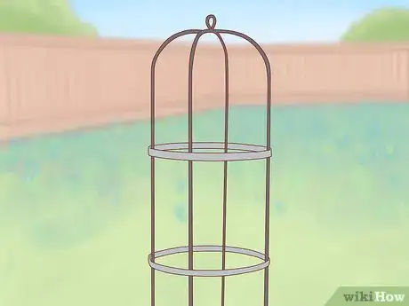 Image titled Plant a Climbing Rose Step 15