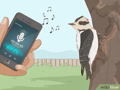 Image titled Attract Downy Woodpeckers Step 3