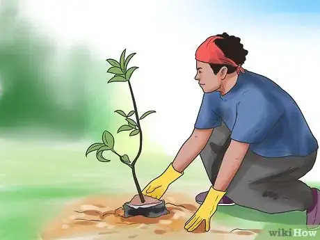 Image titled Prevent Cats from Pooping in the Garden Step 15