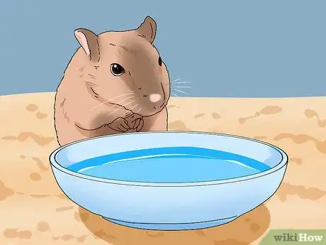 Image titled Buy a Gerbil Step 15