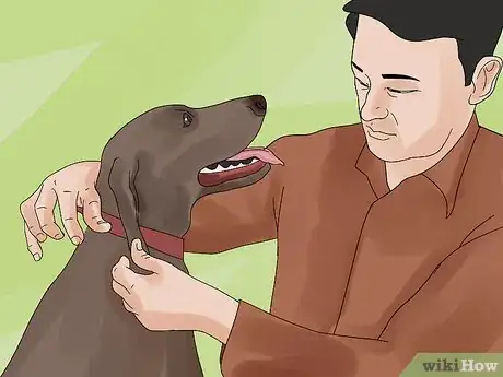 Image titled Avoid Losing Your Dog Step 6