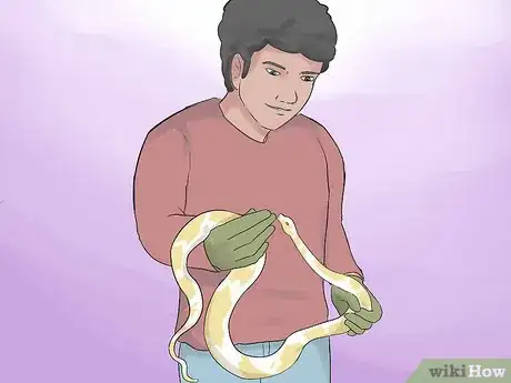 Image titled Hold a Snake Step 12
