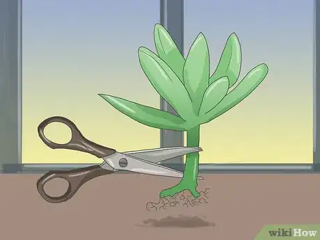 Image titled Make a Succulent Boutonniere Step 4