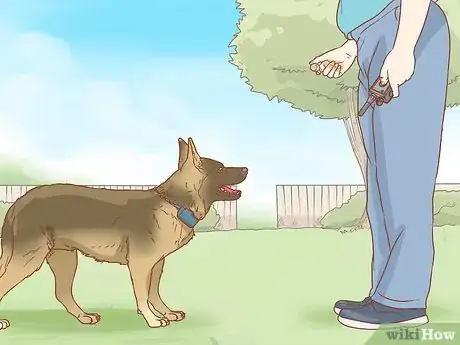 Image titled Use a Pager Collar Step 10