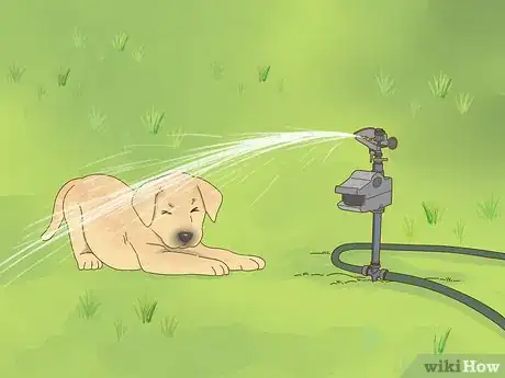Image titled Keep Dogs Out of Gardens Step 7