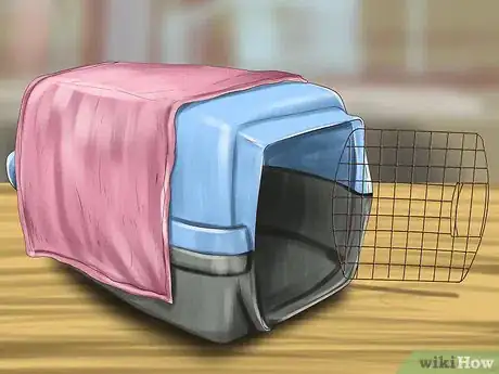 Image titled Make Vet Visits Less Stressful for Your Cat Step 9