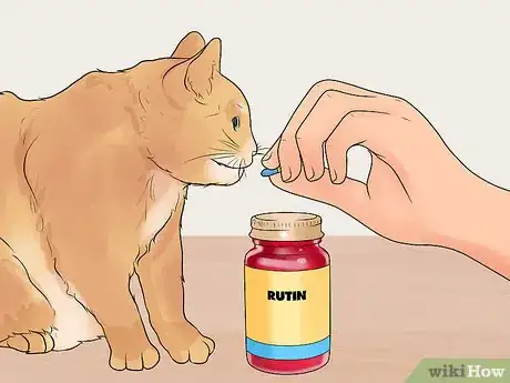 Image titled Diagnose and Treat Chylothorax in Cats Step 10