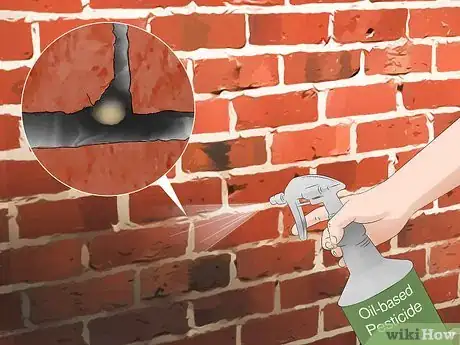 Image titled Get Rid of Spiders Outside Your Door Step 3