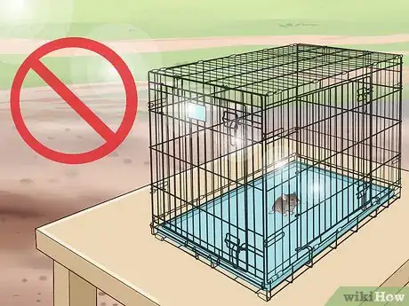 Image titled Keep Pet Mice Safe from Other Pets Step 8