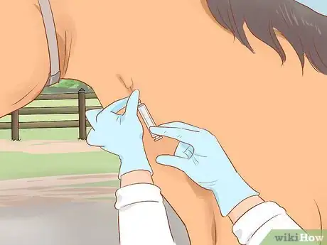 Image titled Draw a Horse's Blood Step 7