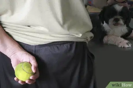 Image titled Get Your Dog to Stop Playing Fetch With You Step 6