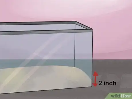 Image titled Breed Hermit Crabs Step 2