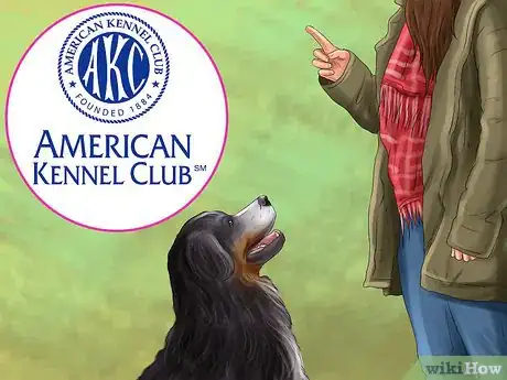 Image titled Introduce a Dog to a New Family Member Step 1