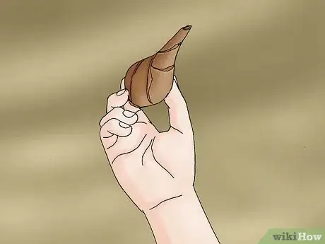 Image titled Propagate Daffodils Step 9