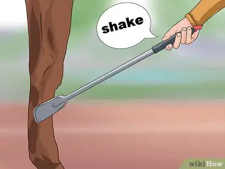 Image titled Train a Horse to Shake a Hoof Step 3