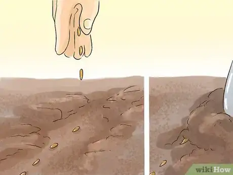 Image titled Grow Flax from Seed Step 6